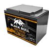 FORÇA Blackbull pro 12 V 58 AH batteria resistente ai cicli, attacco a vite, batteria per veicoli elettrici, ECONELO AKTIVIMO ECABINO