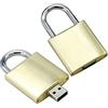 OneSquareCore 4GB Blocco forma USB Flash Drive USB unità memoria Stick Thumb Drives USB Disk 2.0 Pen Drive Pen Drive Drive USB Data Storage disco Flash Zip Drive USB Stick (Oro)