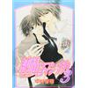 Junjou Romantica #3 | JAPAN BL Comic Book Manga