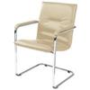 Nowy Styl Rumba Chrome V46 Visitor's Chair Beige Pack of 2