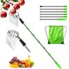 HIULLEN Raccoglitore di Frutta, 2.4m Raccogli Mele con Manico Telescopico, Raccoglifrutta Regolabile in Altezza, Palo in Acciaio Inox Leggero Raccogli Frutta, per Mele, Pere, Pesche, Manghi Arance