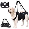KAJILE Imbracatura di Sollevamento/Trasporto per Cani,Cinghie di Sostegno e Di riabilitazione Dell'imbracatura per Animali Domestici per Anziani,Disabili,Iesioni Articolari,Artrite,Nero,XL