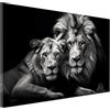 ARTEDinoi Quadro moderno stampa su tela Leoni Black Style canvas Dimensione 60x40x2cm