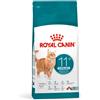 ROYAL CANIN AGEING 11 + GATTO kg 2