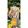 Weingarten Cool Cats Familienplaner 2027: Großer Foto-Terminkalender mit 5 Spalten für Familien. Schöner Familien-Wandkalender 2027 mit süßen Katzen-Fotos. 22 x 48 cm