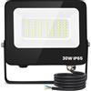 Aigostar- Faretto led 30W da esterno bianco freddo,super illuminoso faretti led 2450 lumen 6500k, impermeabile IP65 per cortile, giardino, garage, tetto.