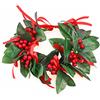 DPKOW Corona Alloro Finta Corona Alloro con Foglie Rosse Nastri e Bacca per Laurea Foto Gadeget Souvenir Laurea Cappello Bomboniere Accessori