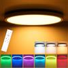 Oraymin LED plafoniera dimmerabile con telecomando, 24W plafoniera RGB cambio colore rotonda, 3000K-6500K lampada illuminazione a soffitto per camera da letto cucina soggiorno corridoio balcone Ø30CM