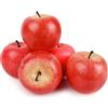 LATRAT 5 Pezzi Mele Rosse Artificiali, Faux Mele Rosse Decor Realistico Fake Frutta Mele per Ciotole Decorazione Tavolo Centerpieces Estate Mele Decorazioni Festa