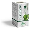 ABOCA SPA SOCIETA' AGRICOLA CELLULENE 50 OPERCOLI