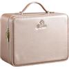 Faquenc Custodia per trucco con specchio a LED Vanity Case rimovibile con specchio luminoso in pelle portatile Makeup Artist Carry Vanity Box con divisori Porta pennelli da trucco, Oro champagne, 29x22x13cm
