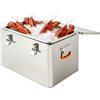 Fermoirper Frigo contenitore termico in acciaio inox, 50,2 × 35,5 × 34 cm