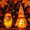 Sunshine smile 2 pezzi decorazione autunnale gnomo, decorazione autunnale, gnomo con luce, fatto a mano, bambola senza viso, decorazione per Halloween, con LED, raccolta autunnale, gnomo illuminato