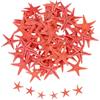 QUARKZMAN 60Pcs Stelle Marine per, 0.4-0.8 Piccole Stelle Marine Naturali Conchiglie all'Ingrosso PerPer Matrimoni A Tema Spiaggia Party per Casa Vaso DIY Crafts, Rosso