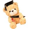 Generico Laurea in peluche con orsacchiotto di peluche - Simpatico orso di con cappuccio graduato | Orso di con cappuccio graduato, per laureati delle scuole medie superiori