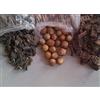 CHIRAG EXIM Amla|Reetha|Shikakai|Soapnut|Uva spina|Acacia Concinna (200 gm ciascuno)- CHIRAG EXIM