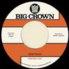 Surprise Chef Money Music/Suburban Breeze (Vinyl LP) 7" Single