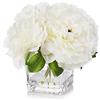 ENOVA HOME Composizione di fiori di peonia in seta in vaso di vetro a forma di cubo con acqua sintetica, per casa, tavolo, centrotavola per matrimoni, decorazione (crema)