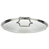 Tognana Vanitosa Coperchio 20 cm, Acciaio Inossidabile, Argento, 0