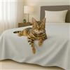 Byour3 - Copriletto in Cotone Misto ORGANICO Matrimoniale Letto Singolo Piazza e Mezza Coperta Pesante Lavabile Teli Arredo Multiuso Copritutto GrandFoulard Copridivano (Ghiaccio, Singolo)