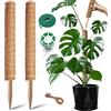 Gebrazy Supporto Per Piante Rampicanti, Tutore Piante Rampicanti Su Picchetto Di Pante, 2 x 40 cm, Facile Da Allungare, Ideale Per Piante Da Appartamento, Per Piante Rampicanti,Palo In Fibra Di Cocco