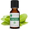 VOSHUILES.COM HUILES ESSENTIELLES & VEGE VOSHUILES - Olio Essenziale di Salvia Sclarea - 20ml | 100% Puro e Naturale - Rilassante e Lenitiva - Ideale per Diffusore - Azienda Francese