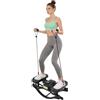 Fermoirper Swing Stepper Mini Stepper con Fasce da Allenamento, fino a 100 kg, Nero
