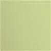 Vaessen Creative Cartoncino Florence Testurizzata - Materiali per Biglietti colorati 30,5 x 30,5 cm - Anise - 20 Fogli - Carta per Scrapbooking, Biglietti, Fustellatura e Progetti con Carta - 216 gsm - Green