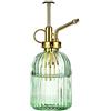 Aebor Bottiglia spray per piante in vetro, 19,1 cm, bottiglia spray in vetro verde con pompa superiore dorata, piccolo annaffiatoio per piante piccole per interni ed esterni, (verde + oro E)