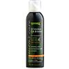 L'Amande Schiuma da Barba Tonificante con Caffè Verde e Ginseng, Schiuma da Barba Uomo Emolliente, Emulsione Spray Delicata contro le Irritazioni, Favorisce la Scorrevolezza del Rasoio - Men's Care, 200 ml