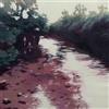 Park Jiha & Roy Claire Potter To Call Out Into the Night (Vinyl LP) 12" Album
