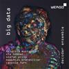 Brigitta Muntendorf Decoder Ensemble: Big Data (CD) Album