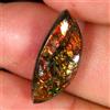 Gemstonedesire 5,80 ct. 100% naturale multi fuoco ammolite fantasia cabochon 8 x 18 x 4 mm p...