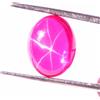 Gemstonedesire 5,60 ct .100% naturale sangue rosso rubino stella zaffiro ovale 9x11x5 mm pie...