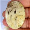 Gemstonedesire 65,30 ct naturale di alta qualità agata radice di palma 32x46x5 mm pietra pre...