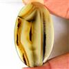 Genstonedesire 75,60 ct naturale Montana Agata cabochon ovale 32 x 54 x 5 mm pietra preziosa...