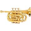 Fatto a mano Boccaglio decorativo tascabile tromba finitura oro vintage compatto regalo