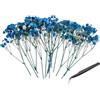 PATIKIL 30 Pezzi Mini Kit Fiori Di Gypsophila Essiccati Naturali. | Mazzi Di Fiori Pressati