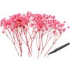 PATIKIL Mini Kit Fiori Di Gypsophila Essiccati 4 Con Pinzetta 30Pz | Mazzi Floreali Pressati Naturali, Rosa Chiaro, Per DIY Resin Artigianato Regalo Decorazione Matrimonio Natale