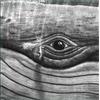 Lizabett Russo While I Sit and Watch This Tree - Volume 2 (Vinyl LP) 12" Album