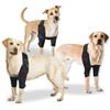 Oteengo Protezione per gomito per cani per calli e artrite, gomitiere igroma per cani. Supporto per gamba anteriore, tutore per gamba anteriore, tutore per gamba del cane anteriore. tutore per spalla