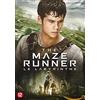 Maze runner (DVD)