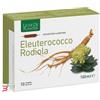 NATURA SERVICE SRL ELEUTEROCOCCO RODIOLA 10 AMPOLLE BEVIBILI DA 10 ML