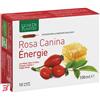 NATURA SERVICE SRL ROSA CANINA ENERGIE BIOLOGICO 10 AMPOLLE BEVIBILI DA 10 ML