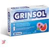 BIOTRADING SRL UNIPERSONALE GRINSOL 15 FIALE X 5 ML