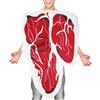 Cexiakong Vestito da bistecca, divertente e realistico, per donna, unisex, ideale come regalo per Halloween, Natale, Babbo Natale, Colore: rosso, Taglia unica