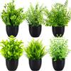 TEBOKHAD 6 Pezzi Mini Pianta Finta, Piante Finte Da Interno, Piantine Finte Decorative Con Vasetto per Arredare Uffici, Camere Da Letto, Terrazze, Soggiorni E Bagno Decorazione Interno