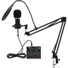 RUETERY V8+800 Podcast Set, kit mixer all-in-one con scheda audio live, microfono a condensatore e accessori, compatibile con OBS/TikTok per streaming, registrazione, 8 modalità audio