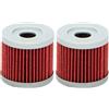HIFLOFILTRO Filtro Olio HF971, Nero, 1 size (Confezione da 2)