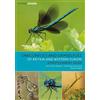 Jean-Pierre Boudot Guillaume Dragonflies and Damselflies of Britain (Tascabile)
